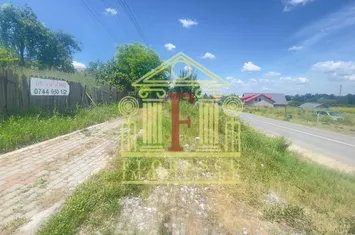 Teren Tomesti 4200 mp! anunturi imobiliare Iasi