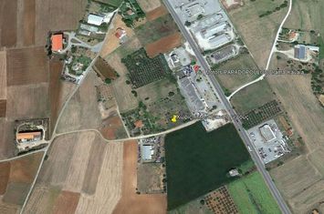 Teren construibil 6.900 mp lângă DN Drama - Kavala anunturi imobiliare Grecia