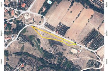 Teren 3.117 mp (4 loturi) în Ekali, Nestos anunturi imobiliare Grecia
