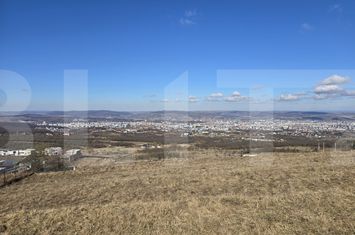 Teren de vanzare FELEACU - Cluj anunturi imobiliare Cluj