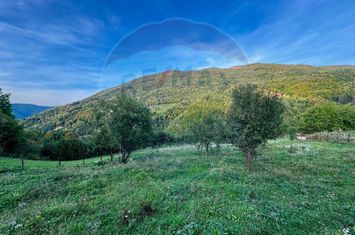 Teren 1812 mp de vânzare | Muntele Rece, cadru liniștit, Comision 0% anunturi imobiliare Cluj