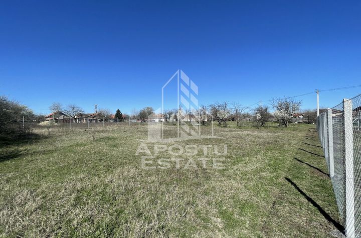 Teren intravilan 833 mp, front 29 ml, Giarmata anunturi imobiliare Timis