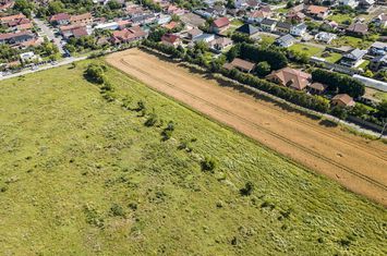 LOC DE CASA BUJAC ZONA REZIDENTIALA anunturi imobiliare Arad