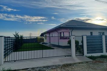 Casă nouă parter 162 mp, curte 504 mp, Săbăreni anunturi imobiliare Giurgiu