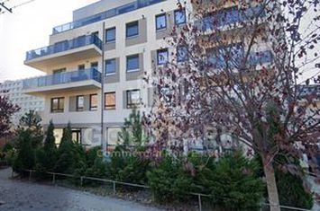 Spatiu Comercial - Marasti - Vitrina la Strada - 441 mp anunturi imobiliare Cluj