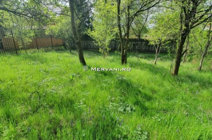Teren de vânzare în Cornu anunturi imobiliare Prahova