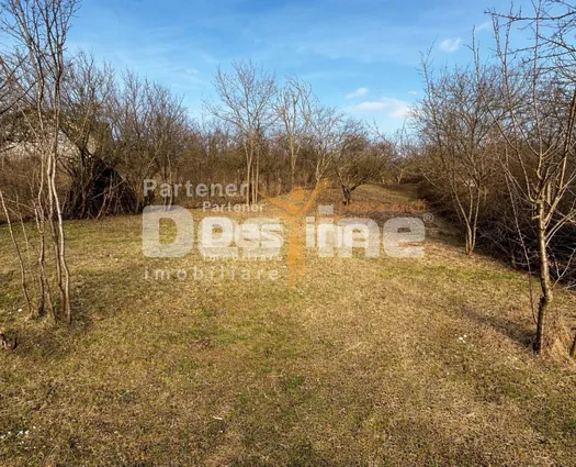 Teren Iasi, 1451 mp