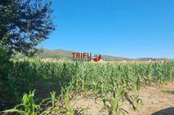 Teren Intravilan de vanzare CENTRAL - Alba anunturi imobiliare Alba