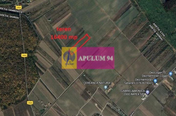 Săbăreni, teren intravilan construibill, la 300 m de pădure anunturi imobiliare Giurgiu