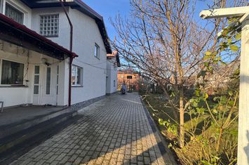 Casa Glina 350 mp utili 1000 mp teren anunturi imobiliare Bucuresti