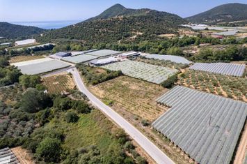 Teren construibil 4.483 mp în Mirtofito, Kavala anunturi imobiliare Grecia