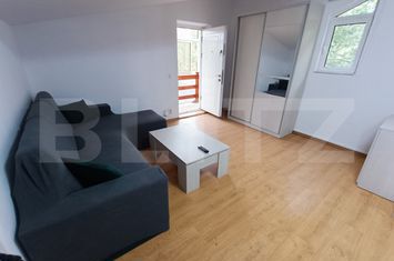 Vilă - 3 camere de inchiriat IASI - Iasi anunturi imobiliare Iasi