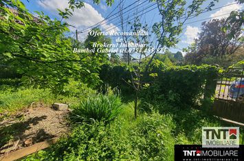 Teren zona exclusivista rezidentiala, suprafata de 300 mp Copou Gradina Botanica anunturi imobiliare Iasi