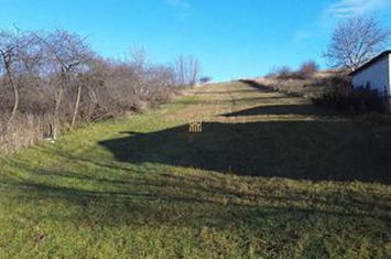 Teren Intravilan de vanzare BURDUJENI - Suceava anunturi imobiliare Suceava