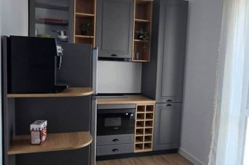 Garsonieră de inchiriat CALEA BUCURESTI - Dolj anunturi imobiliare Dolj