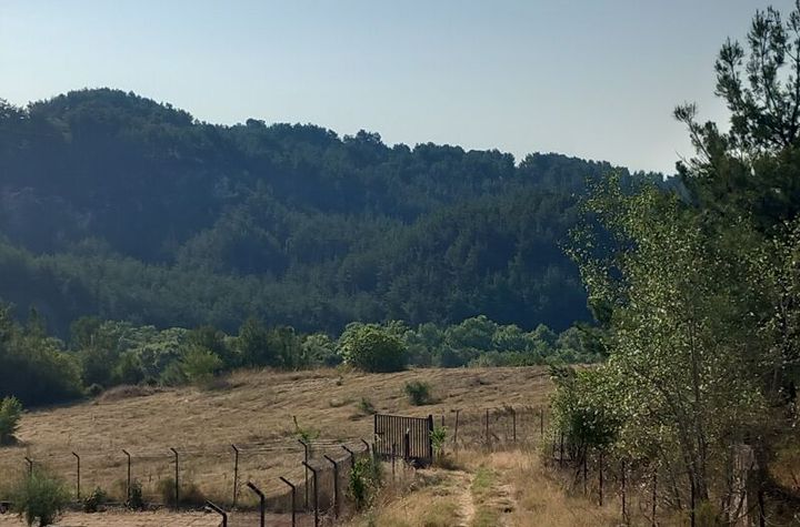 Teren construibil 6933 mp, Serres - Chrysopigi anunturi imobiliare Grecia