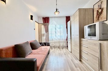 Garsoniera cu bucatarie inchisa gaz Calea Aradului anunturi imobiliare Timis