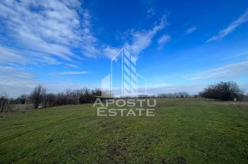 Parcele de teren pentru inchiriat, zona Gai anunturi imobiliare Arad