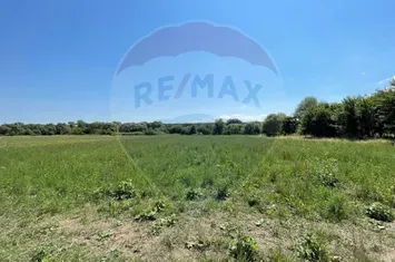 TEREN  INTRAVILAN  5000mp ORAS CISNADIE  STR. SELIMBARULUI anunturi imobiliare Sibiu