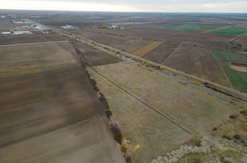 Teren 22.500 mp–Pecica, jud. Arad,Posibilitate PUZ anunturi imobiliare Arad