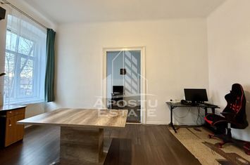 Apartament 3 camere, renovat, vedere la Bega, zona centrala anunturi imobiliare Timis