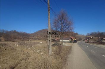 Teren Intravilan de vanzare BRAD - Hunedoara anunturi imobiliare Hunedoara