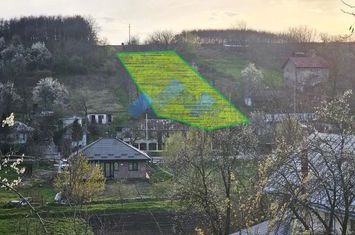 Teren Intravilan de vanzare RUSENII VECHI - Iasi anunturi imobiliare Iasi