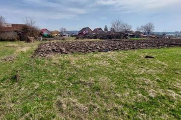 Teren 7000 mp,29euro mp.zona Libertății, Targu Mures, anunturi imobiliare Mures