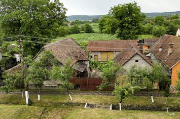 Teren cu casă în Odvoş anunturi imobiliare Arad