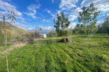 Teren de vanzare PACLISA - Alba anunturi imobiliare Alba