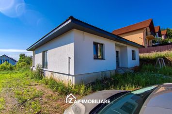 Casă  1 nivel 4 camere  - 700 mp teren - Zona Pestisorul de aur anunturi imobiliare Mures