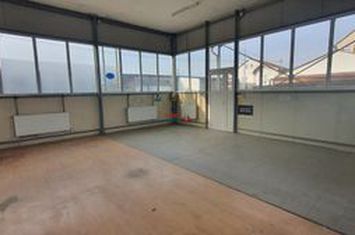 Spațiu industrial de inchiriat CENTRAL - Alba anunturi imobiliare Alba