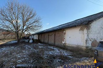 Spațiu comercial de vanzare RACIU - Mures anunturi imobiliare Mures