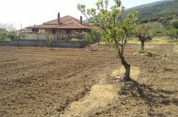 Teren construibil 480 mp - Kipia Paggaiou anunturi imobiliare Grecia