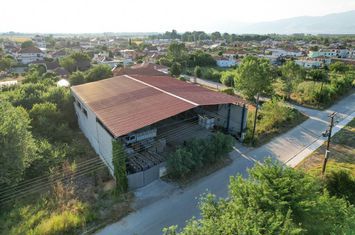 Spațiu comercial - depozit 717 mp în Koudounia anunturi imobiliare Grecia