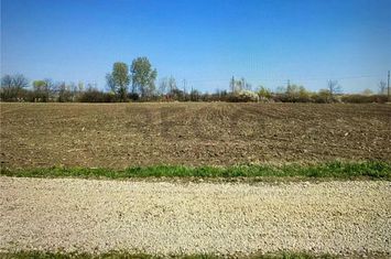 Teren Intravilan de vanzare NUFARUL - Bihor anunturi imobiliare Bihor