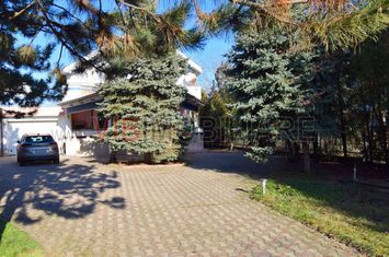 Vila deosebita pe Malul Lacului Grivita – Confort si Eleganta! anunturi imobiliare Bucuresti