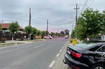 Teren Domnesti- Mega Image. anunturi imobiliare Bucuresti