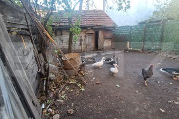 Casă - 6 camere de vanzare BRASOV - Brasov anunturi imobiliare Brasov