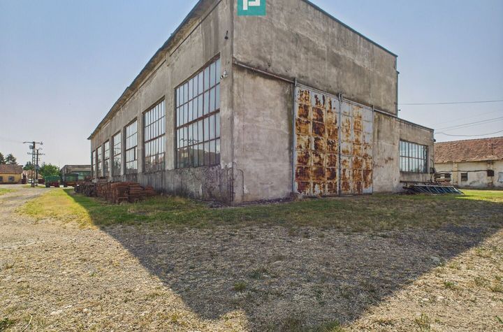 Hală pentru producție - 700 mp utili anunturi imobiliare Timis