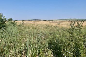 Teren de vanzare SIBIU - Sibiu anunturi imobiliare Sibiu