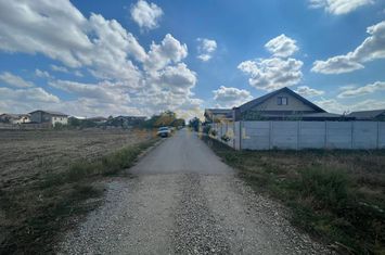 Teren Intravilan de vanzare COMUNA BERCENI - Bucuresti anunturi imobiliare Bucuresti
