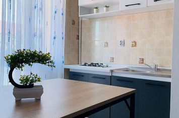 Apartament 2 camere de inchiriat bloc nou zona Pd Ros Pasarela anunturi imobiliare Iasi