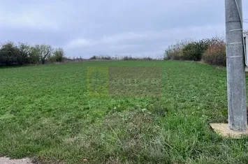 Teren Comana- strada Funieru. anunturi imobiliare Giurgiu