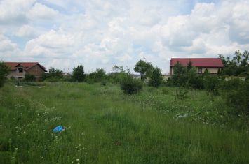Clinceni-Ortansei. anunturi imobiliare Bucuresti