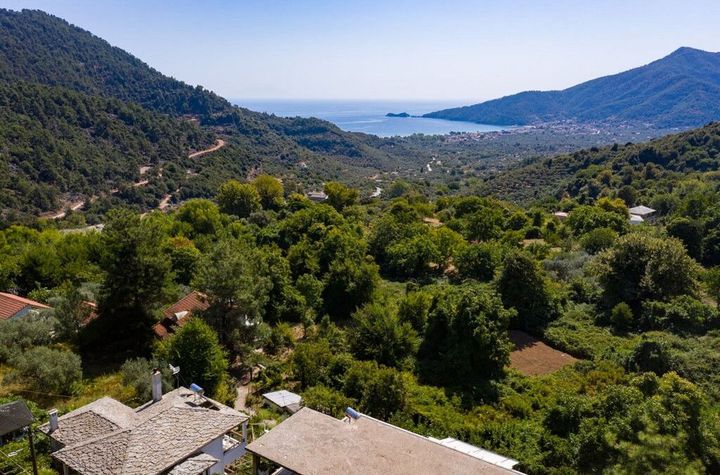 Teren construibil 380,59 mp în Panagia (Skotini) anunturi imobiliare Grecia