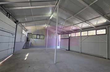 Hală producție sau depozit de vânzare sau închiriere anunturi imobiliare Prahova
