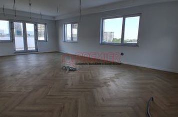 DUPLEX Fabulos - terasa - 4 locuri de parcare - Mihai Bravu - 550 MP anunturi imobiliare Bucuresti