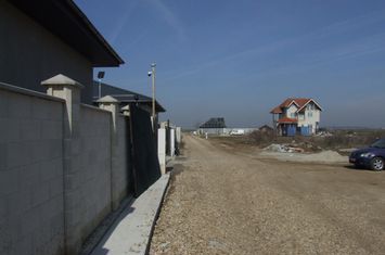 Domnesti-Ciocarliei-Afinului. anunturi imobiliare Bucuresti