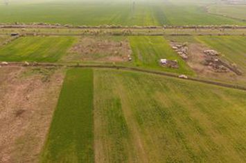 Teren intravilan 6150 mp – Sânleani, jud. Arad anunturi imobiliare Arad